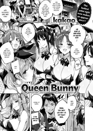 Queen Bunny