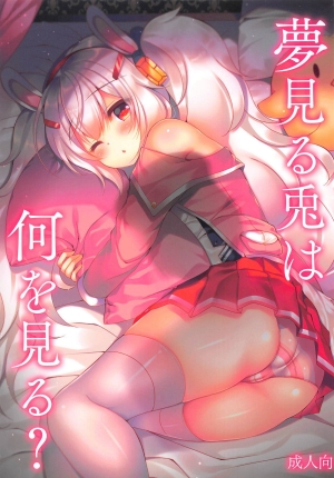 Yumemiru Usagi wa Nani o Miru