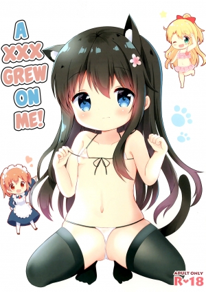 Watashi ni XXX ga Haete Kita! (Watashi ni Tenshi ga Maiorita!)