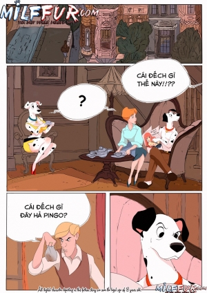 BAD PINGO