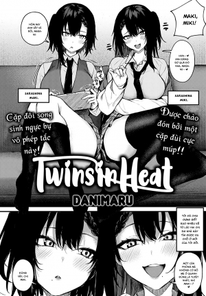 Twins in Heat
