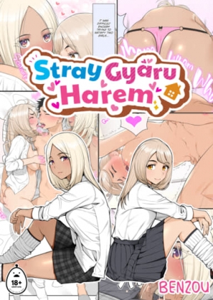 Stray Gyaru Harem