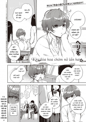 Khi đóa hoa chớm nở lần hai
