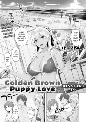 Golden Brown Puppy Love
