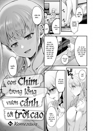Con chim trong lồng vươn cánh tới trời cao